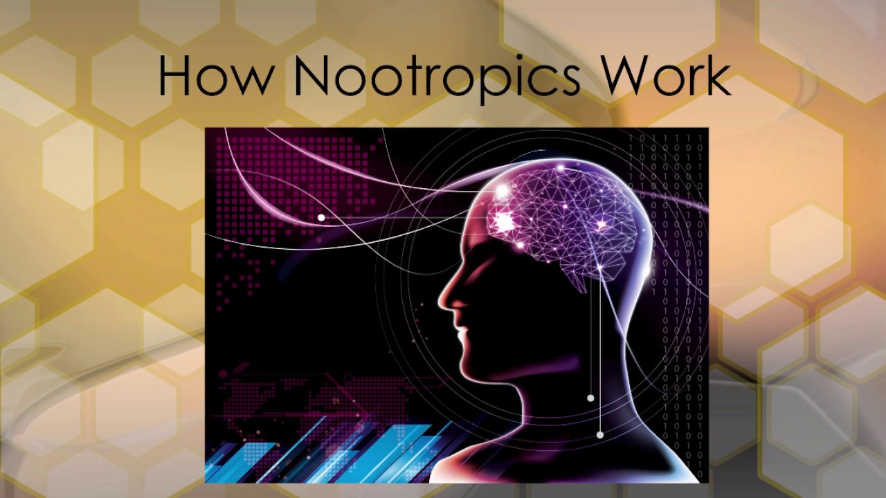 The Benefits And Risks Of Nootropics: What You Need to Know